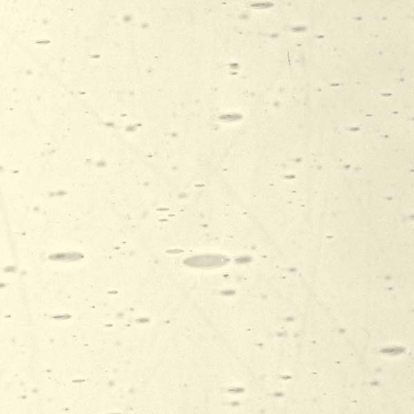 LAMBERTS 35xx LAMBERTS 35xx