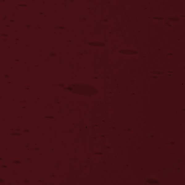 LAMBERTS 683-F LAMBERTS 683-F