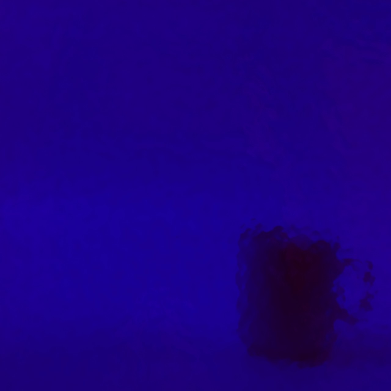 WISSMACH 329 Corella Classic WISSMACH 329 Corella Classic