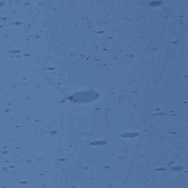 LAMBERTS 1343xx LAMBERTS 1343xx