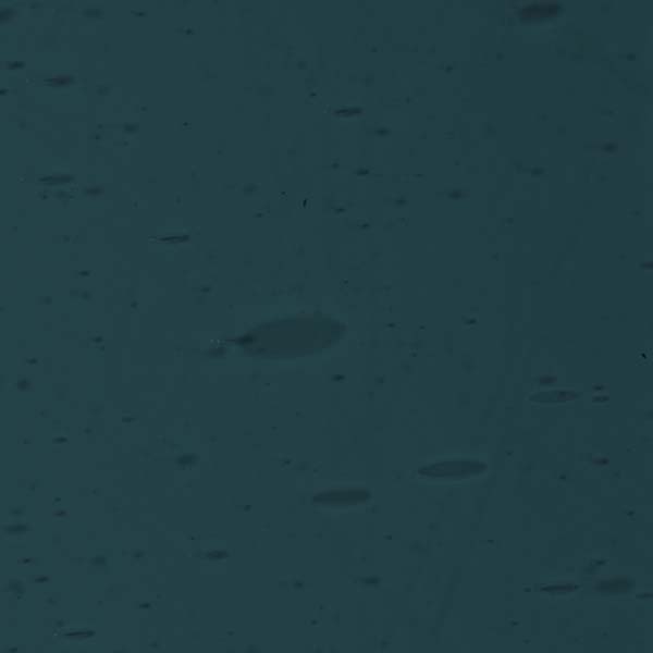 LAMBERTS 1427-F LAMBERTS 1427-F