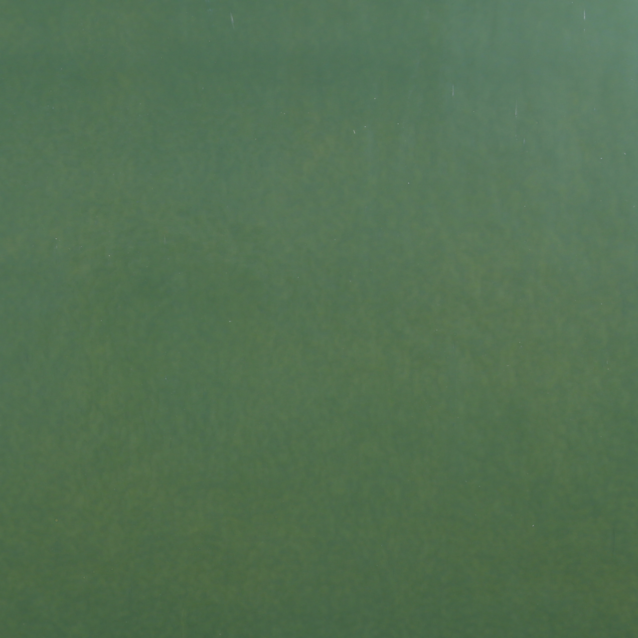 Bullseye Krösel 0117 01 F fein Bullseye Krösel 0117 01 F fein