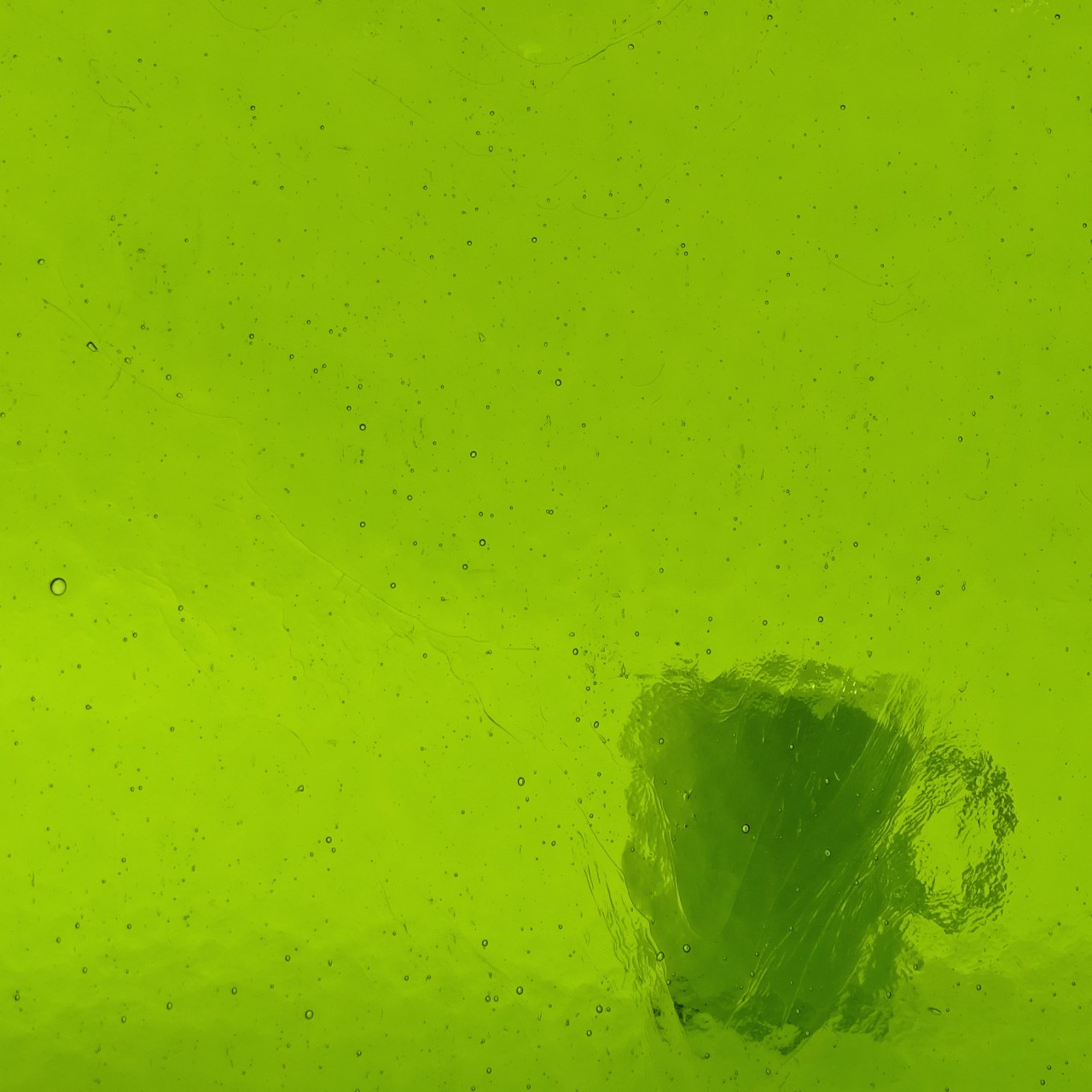 Provetro Kathedral 1800 Provetro Kathedral 1800