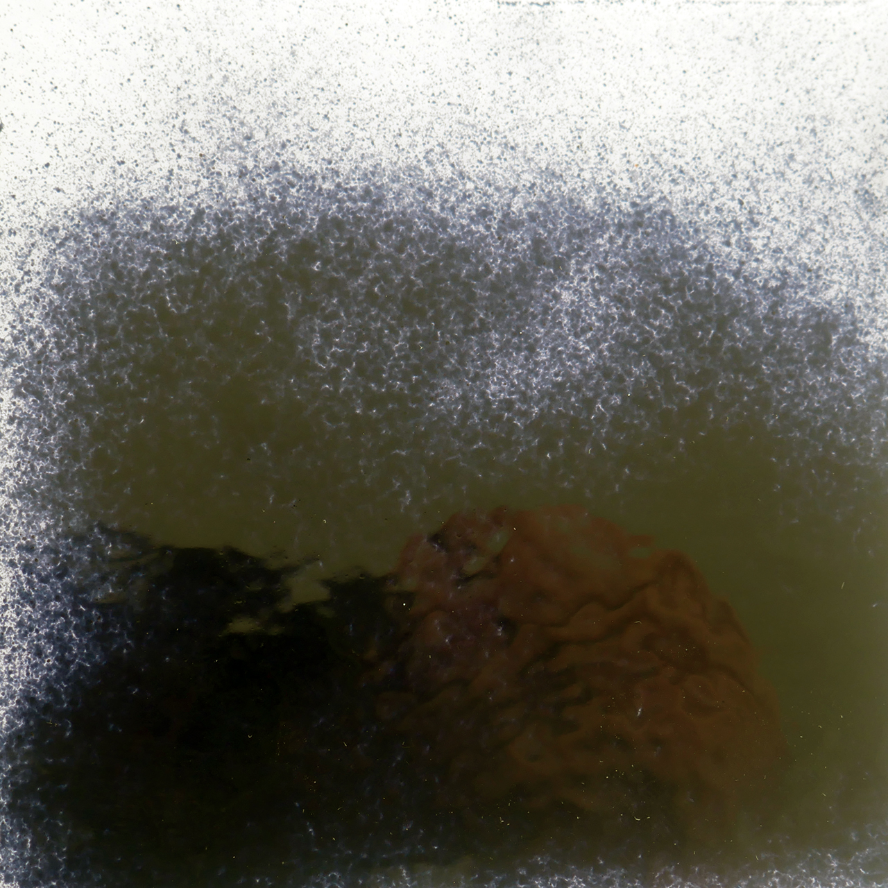 FLOAT-Krösel 0026 BF 1 kg K-0 FLOAT-Krösel 0026 BF 1 kg K-0