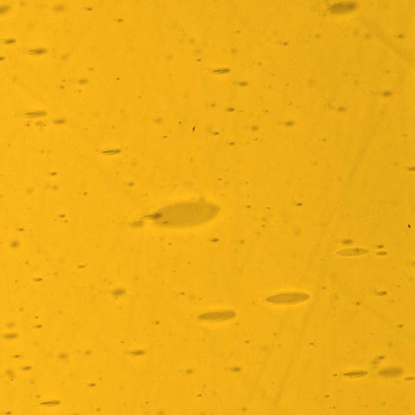 LAMBERTS 70xx LAMBERTS 70xx