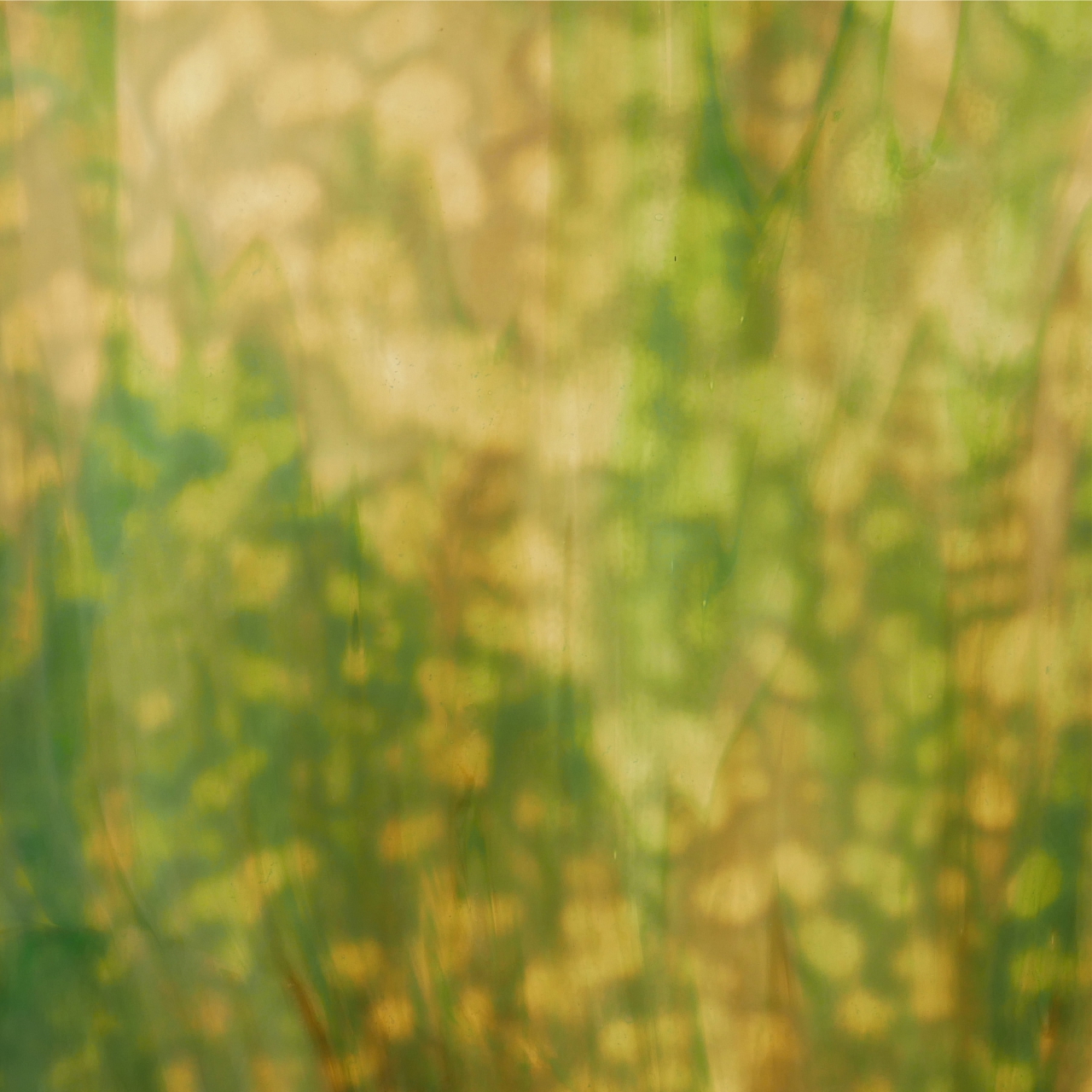 YOUGHIOGHENY 2004 HS YOUGHIOGHENY 2004 HS