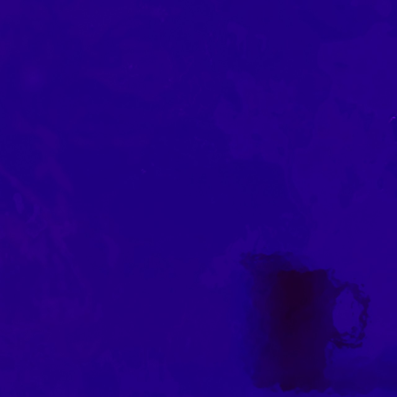 WISSMACH 329 Mystic WISSMACH 329 Mystic