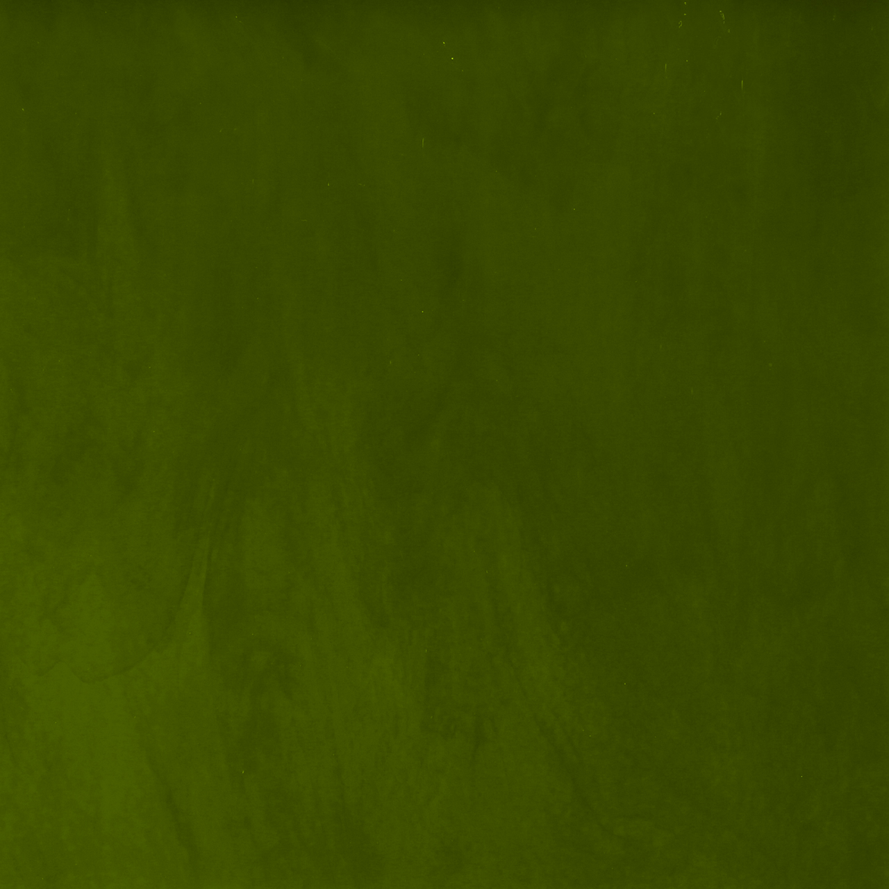 BULLSEYE 0222-30F BULLSEYE 0222-30F