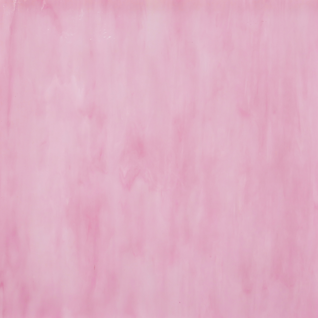 YANG IEO rosa