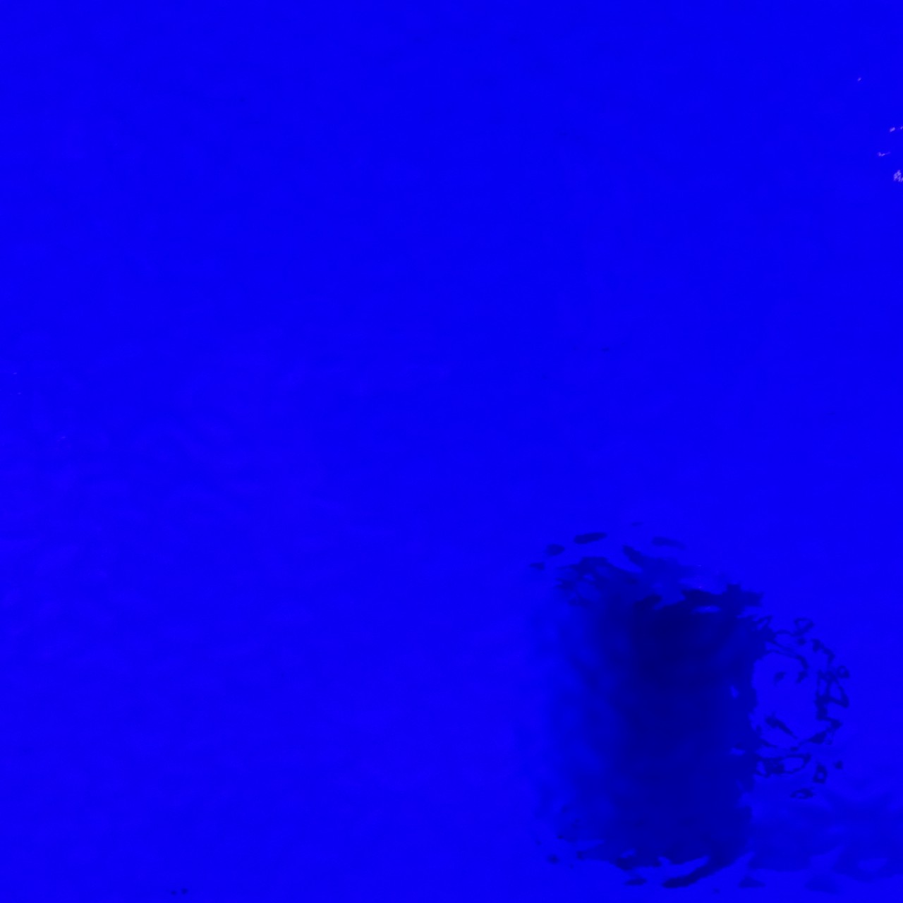 WISSMACH 220 English Muffle WISSMACH 220 English Muffle