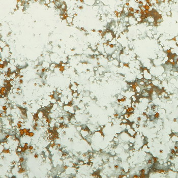 ANTIKSPIEGEL Cometa 6mm