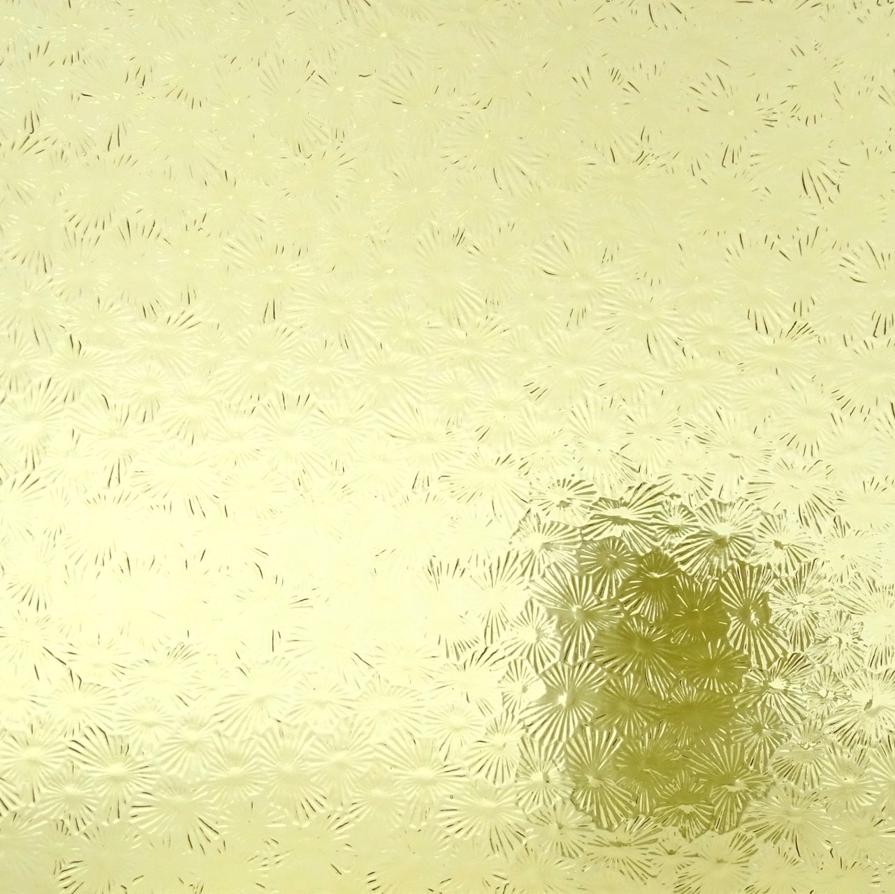 WISSMACH 0002 Florentine WISSMACH 0002 Florentine