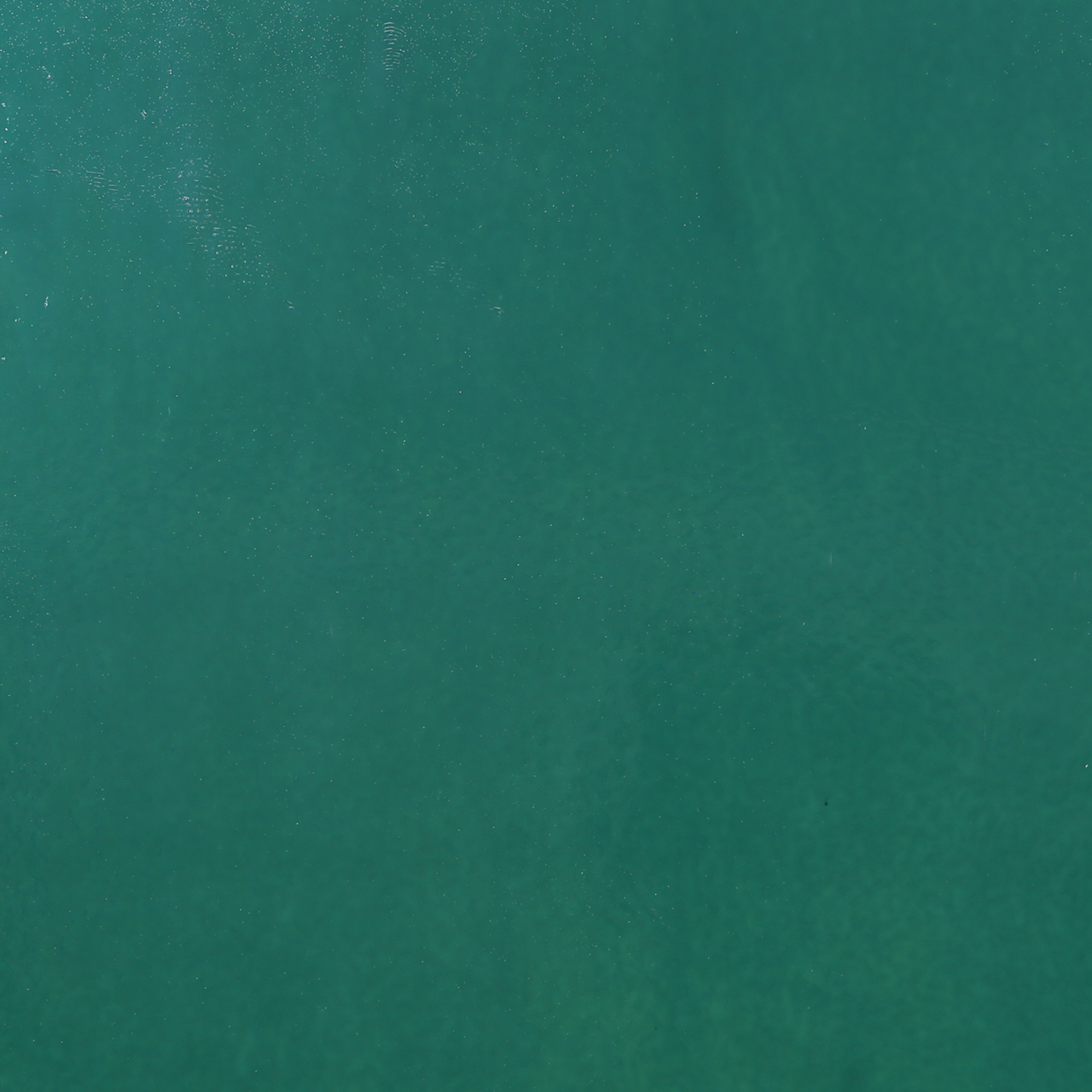 Bullseye Krösel 0144 01 F fein Bullseye Krösel 0144 01 F fein