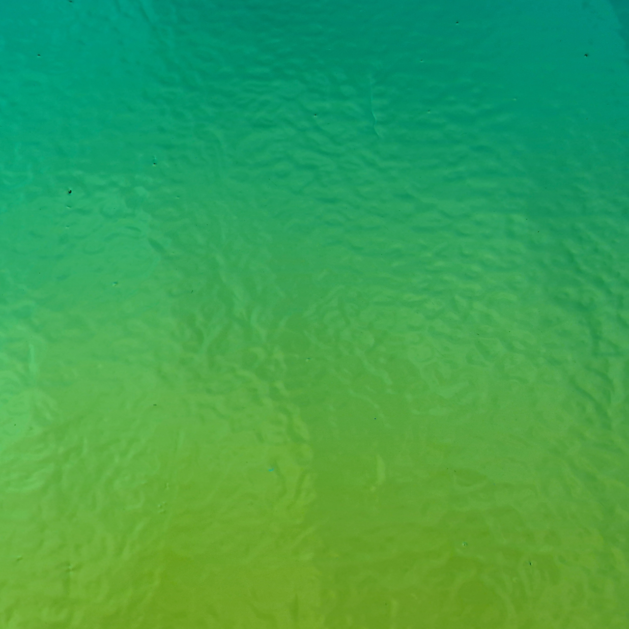 Dichroic B0100-50 B/G AK90 Dichroic B0100-50 B/G AK90