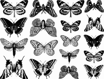 Fusing Decal kleine Schmetterlinge Schwarz Fusing Decal kleine Schmetterlinge Schwarz